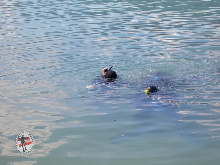 PADI Open Water Diver - 22.08.2010