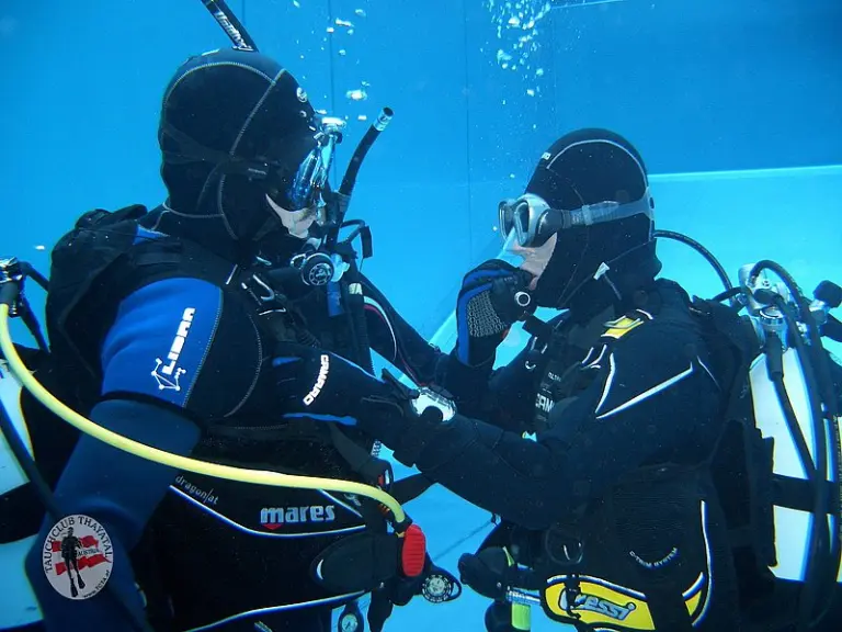 Pooltraining 2010