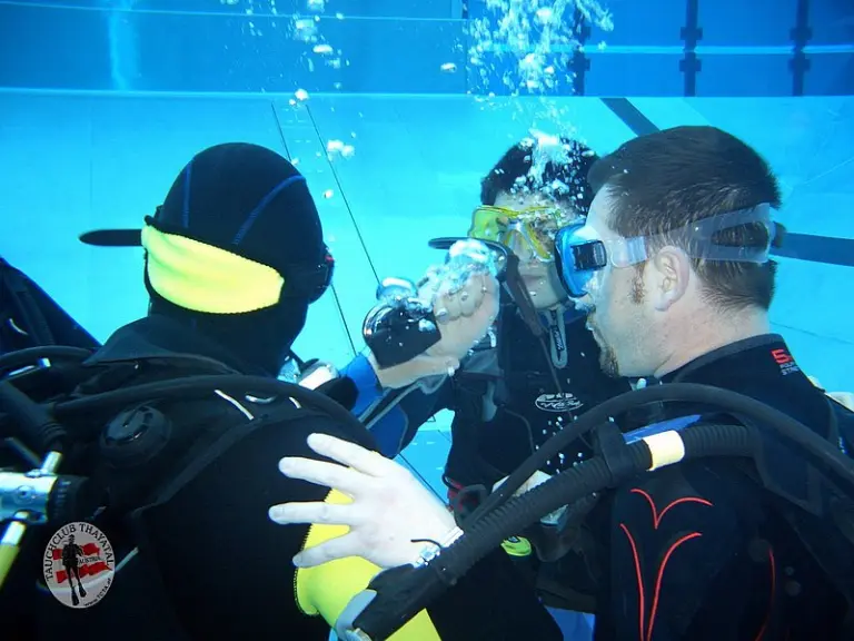 Pooltraining 2010