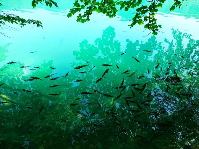 Tauchausfahrt Tucepi 2015