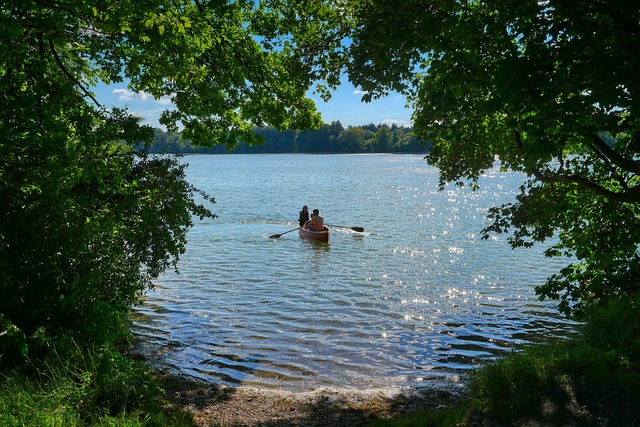Ruderboot auf einem waldumgebenen Stausee